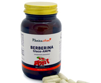 Berberina PAMIES VITAE glucosa azucar colesterol trigliceridos Gymnema Silvestre canela cehlan zeylan resveratrol peso grasa sindrome metabolico
