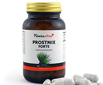 PAMIES VITAE PROSTMIX FORTE prostata hiperplasia  epilobio saw palmeto pygeum africanum semillas calabaza zinc vitamina d licopeno boswelia reishi ortiga  ganoderma azafran selenio cobre bisciglinato